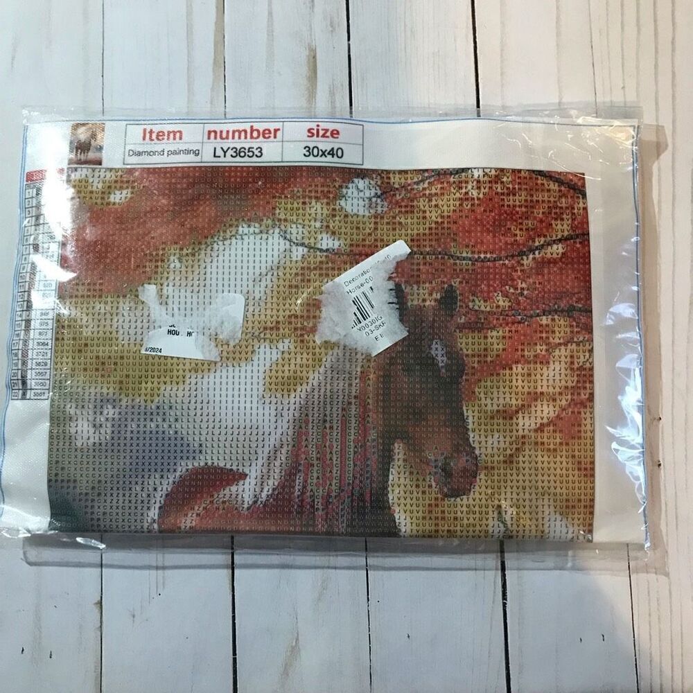 Diamond Painting kit 5D Horse Ly3653 craft kit 30” X 40” New